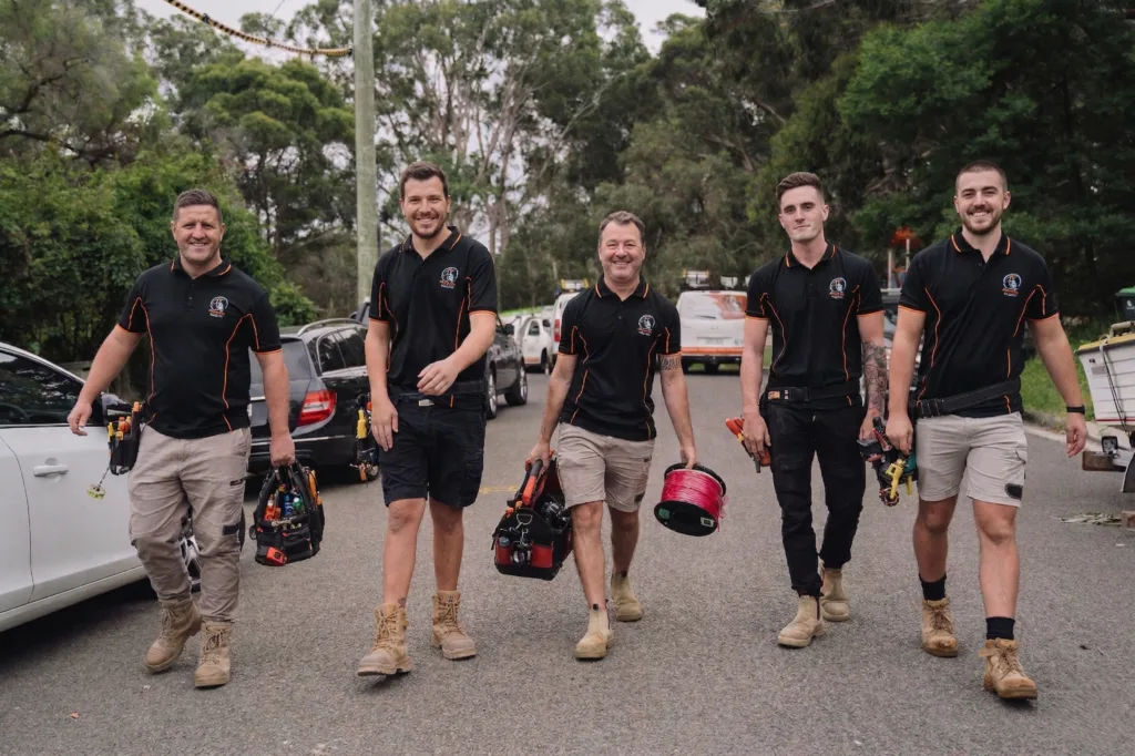 Professional electrical services in Carlingford